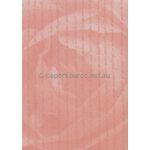 Vellum Patterned | Calligraphy, a red pattern on Transparent A4 112gsm paper. Also known as Trace, Translucent or Tracing paper, Parchment or Pergamano. | PaperSource