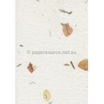 Embossed Floral White with Petals and Fibre Inclusions Matte A4 handmade recycled paper | PaperSource
