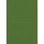 Envelope DL | Vivaldi Leaf Green 100gsm matte envelope | PaperSource