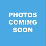 Lasercut Card | 8812 Gold Pearl PaperSource Australia