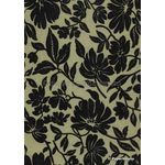Chiffon Flock | Magnolia Sage Green Chiffon with Black Flocked Floral Print, A4 120gsm | PaperSource