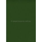 Envelope 160sq | Curious Metallics Botanic 120gsm metallic envelope | PaperSource