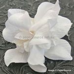 Fabric Flower - Orchid White Handmade, Fabric Flower Embellishment | PaperSource
