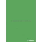Optix Reva Green card 300gsm - PaperSource Australia