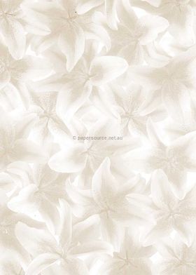 Vellum Patterned | Lily, a gold pattern on Transparent A4 112gsm paper. Also known as Trace, Translucent or Tracing paper, Parchment or Pergamano. | PaperSource