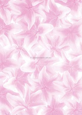 Vellum Patterned | Lily, a pink pattern on Transparent A4 112gsm paper. Also known as Trace, Translucent or Tracing paper, Parchment or Pergamano. | PaperSource