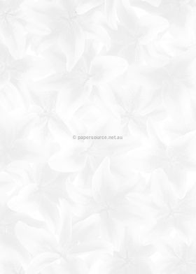 Vellum Patterned | Lily, a white pattern on Transparent A4 112gsm paper. Also known as Trace, Translucent or Tracing paper, Parchment or Pergamano. | PaperSource