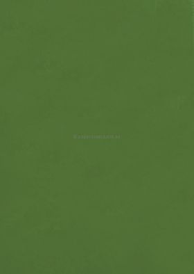 Envelope DL | Vivaldi Leaf Green 100gsm matte envelope | PaperSource