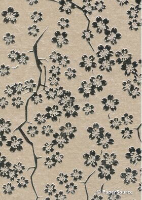 Flat Foil Sakura Cherry Blossom | Silver Foil on Champagne Pearlescent A4 handmade recycled paper | PaperSource