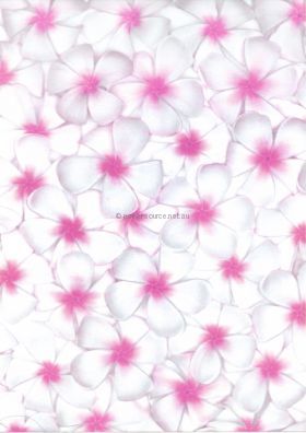 Vellum Patterned | Frangipani with pink centres, Transparent A4 112gsm paper. | PaperSource