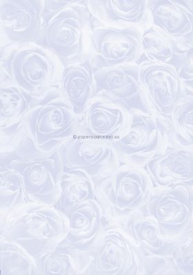 Patterned | Blue Rose Designer paper, 120gsm A4 paper | PaperSource