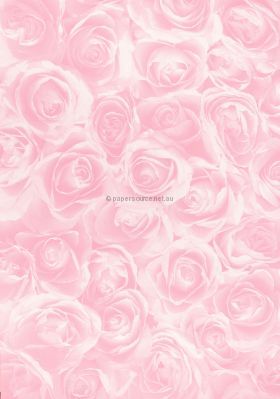 Vellum Patterned | Rose, a light pink pattern on Transparent A4 112gsm paper. Also known as Trace, Translucent or Tracing paper, Parchment or Pergamano. | PaperSource