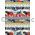 Chiyogami | Abstract 18 Japanese handmade, screen printed paper with bands of traditional patterns in red, navy and gold | PaperSource