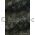 Chiffon Print | Wisteria Black Chiffon with Silver and Gold Glitter Floral pattern on A4 - curled | PaperSource