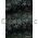 Chiffon Print | Bollywood Black Chiffon with Silver and Glitter Floral Print, A4 - curled | PaperSource