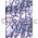 Suede Scribble | Lilac cotton with Purple flocked design and glitter highlights on Handmade, Recycled Cotton A4 Paper - curled | PaperSource