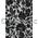 Chiffon Flock | Magnolia Silver Chiffon with Black Flocked Floral Print, A4 120gsm | PaperSource