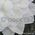 Fabric Flower - Dahlia White Handmade, Fabric Flower Embellishment | PaperSource
