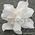 Fabric Flower - Orchid White Handmade, Fabric Flower Embellishment | PaperSource