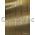Flat Foil Eternity Border | Gold Foil on Gold Pearlescent Cotton A4 handmade recycled paper | PaperSource
