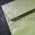 Envelope 160sq | Batik Leaf Green with Silver 10pack 120gsm envelope | PaperSource